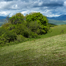 Планина Черна гора, (Църна гора), Област Перник - Снимки от България, Курорти, Туристически Дестинации