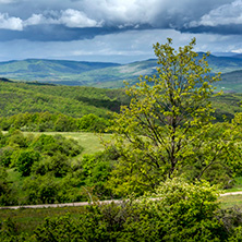 Планина Черна гора, (Църна гора), Област Перник - Снимки от България, Курорти, Туристически Дестинации