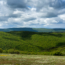 Планина Черна гора, (Църна гора), Област Перник