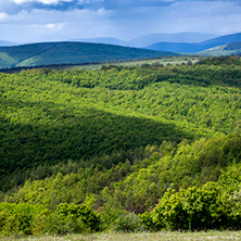 Планина Черна гора, (Църна гора), Област Перник