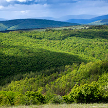 Планина Черна гора, (Църна гора), Област Перник - Снимки от България, Курорти, Туристически Дестинации