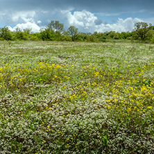 Планина Черна гора, (Църна гора), Област Перник