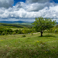 Планина Черна гора, (Църна гора), Област Перник