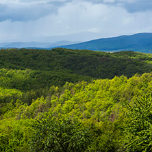 Планина Черна гора, (Църна гора), Област Перник