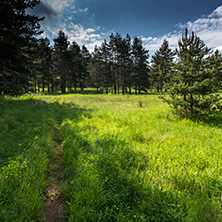 Добростански рид, Планина Родопи, Област Пловдив