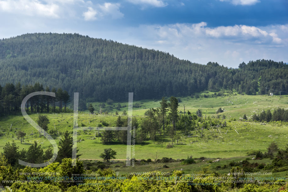 Добростански рид, Планина Родопи, Област Пловдив