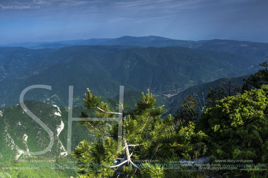 Изглед От Връх Червената Стена, Родопи Планина