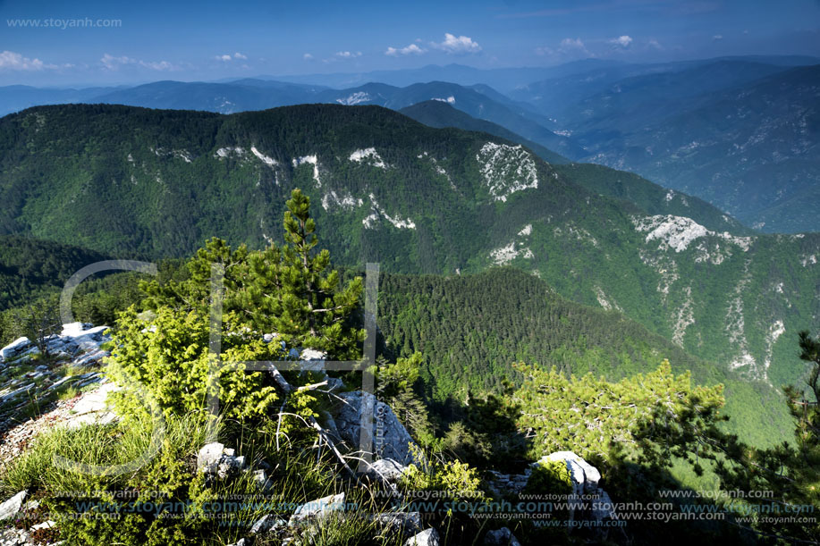 Изглед От Връх Червената Стена, Родопи Планина