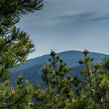 Изглед От Връх Червената Стена към връх Безово, Родопи Планина