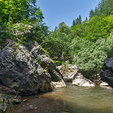 Ждрело на река Ерма, Област Перник