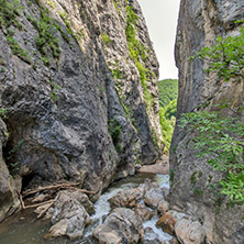 Ждрело на река Ерма, Област Перник - Снимки от България, Курорти, Туристически Дестинации