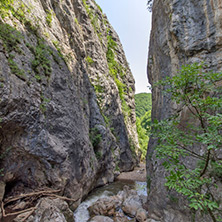 Ждрело на река Ерма, Област Перник