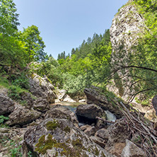 Ждрело на река Ерма, Област Перник