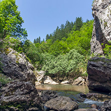 Ждрело на река Ерма, Област Перник