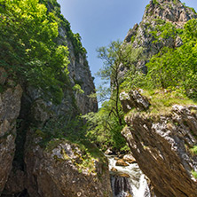 Ждрело на река Ерма, Област Перник