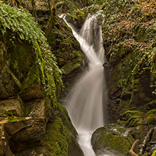 Лешнишки водопад, Планина Беласица - Снимки от България, Курорти, Туристически Дестинации