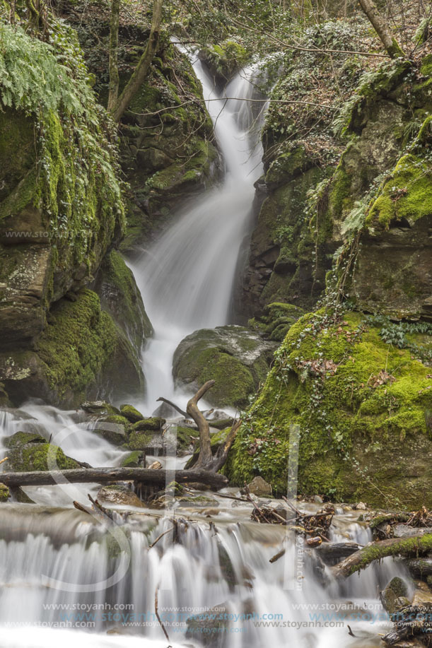 Лешнишки водопад, Планина Беласица