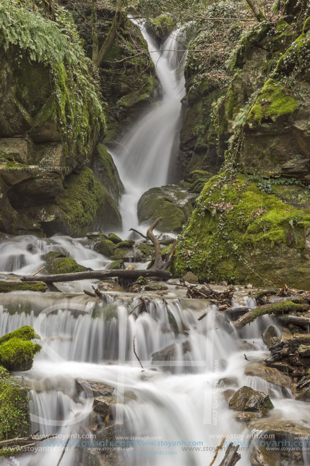 Лешнишки водопад, Планина Беласица