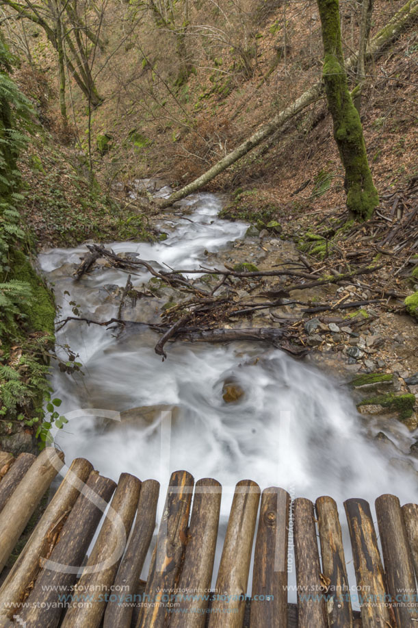 Лешнишки водопад, Планина Беласица