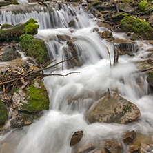 Лешнишки водопад, Планина Беласица